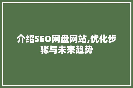 介绍SEO网盘网站,优化步骤与未来趋势