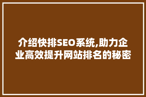 介绍快排SEO系统,助力企业高效提升网站排名的秘密武器