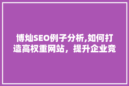 博灿SEO例子分析,如何打造高权重网站，提升企业竞争力