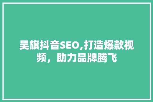 吴旗抖音SEO,打造爆款视频，助力品牌腾飞