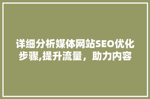 详细分析媒体网站SEO优化步骤,提升流量，助力内容传播