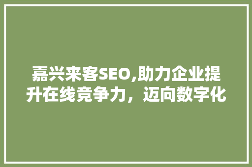 嘉兴来客SEO,助力企业提升在线竞争力，迈向数字化未来