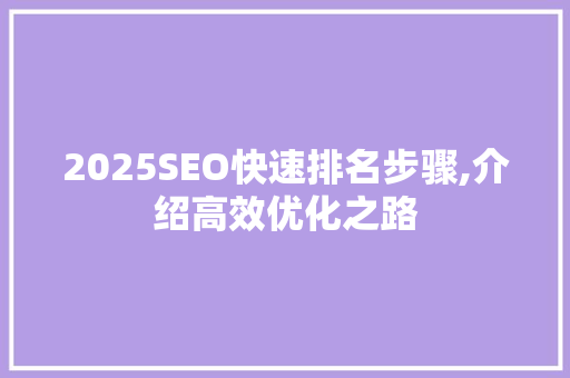 2025SEO快速排名步骤,介绍高效优化之路