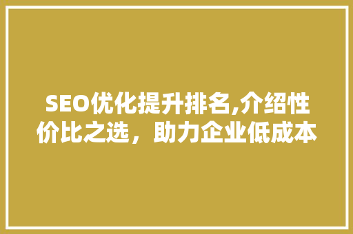 SEO优化提升排名,介绍性价比之选，助力企业低成本高效崛起