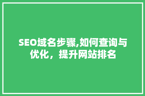 SEO域名步骤,如何查询与优化，提升网站排名