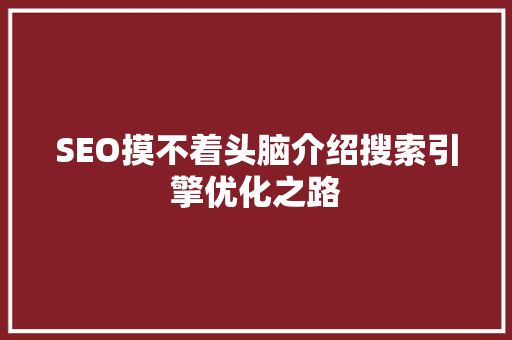 SEO摸不着头脑介绍搜索引擎优化之路