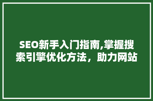 SEO新手入门指南,掌握搜索引擎优化方法，助力网站排名提升