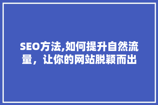 SEO方法,如何提升自然流量，让你的网站脱颖而出