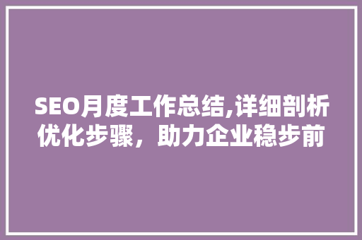 SEO月度工作总结,详细剖析优化步骤，助力企业稳步前行