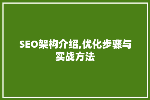 SEO架构介绍,优化步骤与实战方法