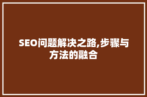SEO问题解决之路,步骤与方法的融合