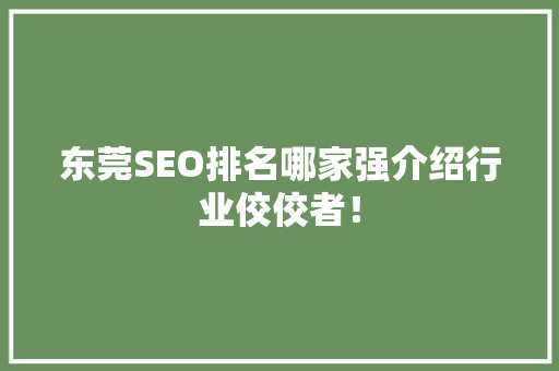 东莞SEO排名哪家强介绍行业佼佼者！