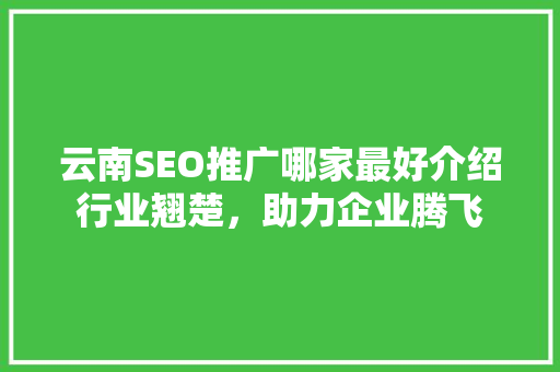 云南SEO推广哪家最好介绍行业翘楚，助力企业腾飞