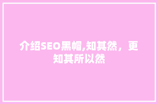 介绍SEO黑帽,知其然，更知其所以然