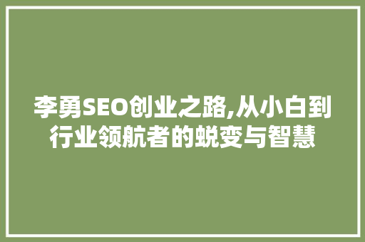 李勇SEO创业之路,从小白到行业领航者的蜕变与智慧