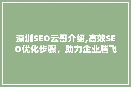 深圳SEO云哥介绍,高效SEO优化步骤，助力企业腾飞