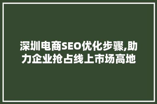 深圳电商SEO优化步骤,助力企业抢占线上市场高地
