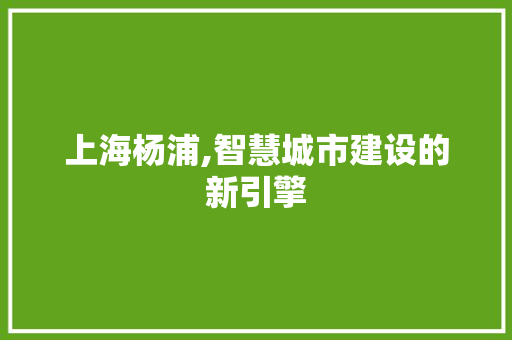 上海杨浦,智慧城市建设的新引擎