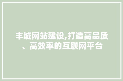 丰城网站建设,打造高品质、高效率的互联网平台