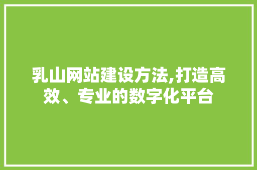 乳山网站建设方法,打造高效、专业的数字化平台