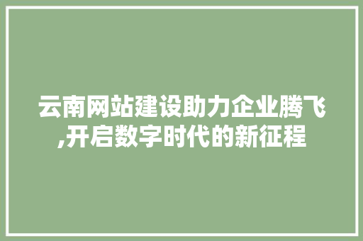 云南网站建设助力企业腾飞,开启数字时代的新征程