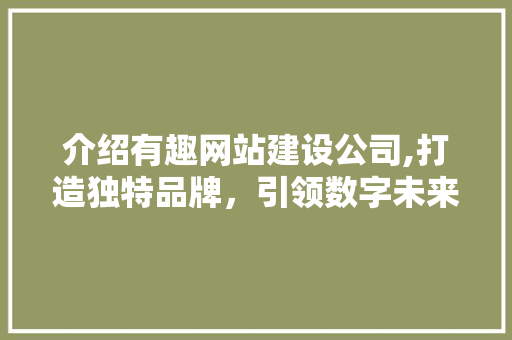介绍有趣网站建设公司,打造独特品牌，引领数字未来
