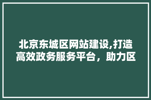 北京东城区网站建设,打造高效政务服务平台，助力区域发展新篇章