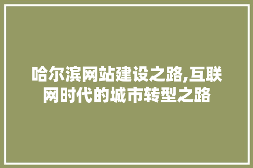 哈尔滨网站建设之路,互联网时代的城市转型之路