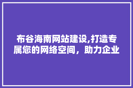 布谷海南网站建设,打造专属您的网络空间，助力企业腾飞