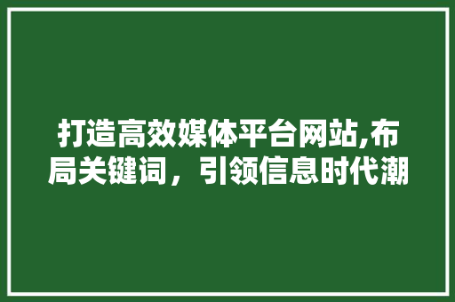 打造高效媒体平台网站,布局关键词，引领信息时代潮流