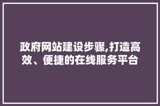 政府网站建设步骤,打造高效、便捷的在线服务平台