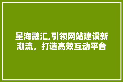 星海融汇,引领网站建设新潮流，打造高效互动平台
