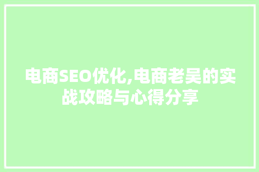 电商SEO优化,电商老吴的实战攻略与心得分享