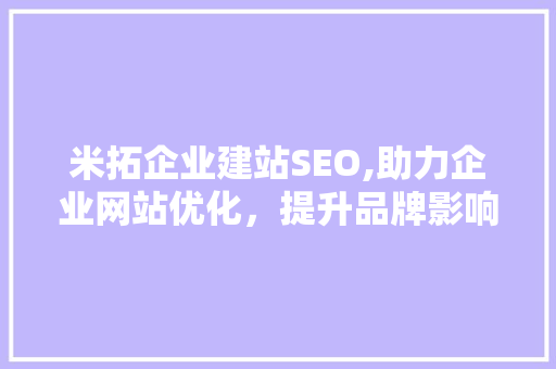 米拓企业建站SEO,助力企业网站优化，提升品牌影响力
