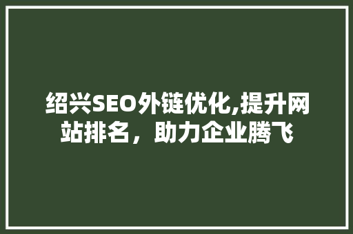 绍兴SEO外链优化,提升网站排名，助力企业腾飞