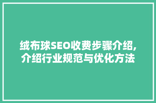 绒布球SEO收费步骤介绍,介绍行业规范与优化方法