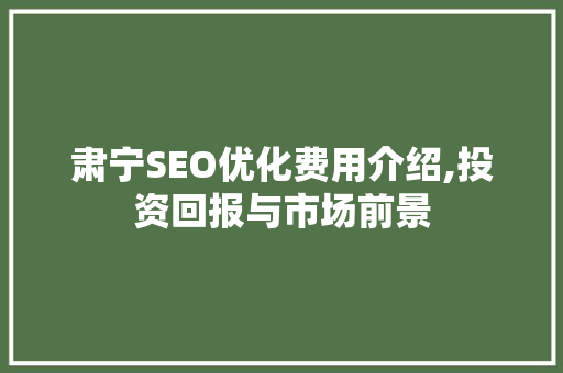 肃宁SEO优化费用介绍,投资回报与市场前景