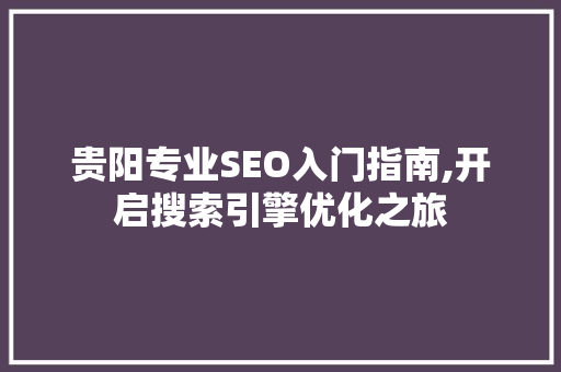 贵阳专业SEO入门指南,开启搜索引擎优化之旅