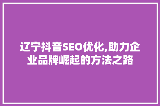 辽宁抖音SEO优化,助力企业品牌崛起的方法之路
