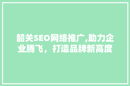 韶关SEO网络推广,助力企业腾飞，打造品牌新高度
