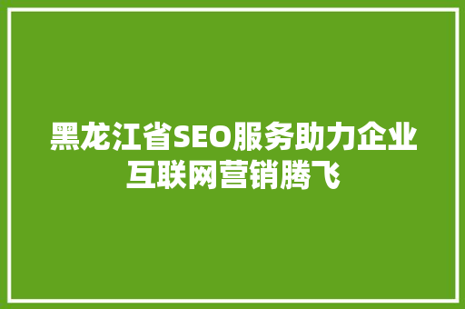 黑龙江省SEO服务助力企业互联网营销腾飞