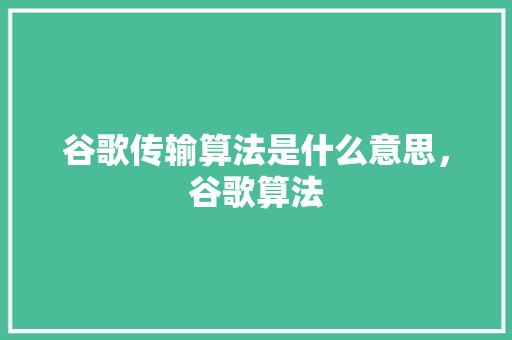 谷歌传输算法是什么意思，谷歌算法