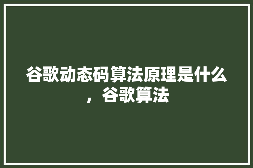 谷歌动态码算法原理是什么，谷歌算法