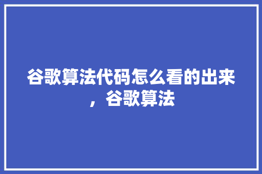 谷歌算法代码怎么看的出来，谷歌算法