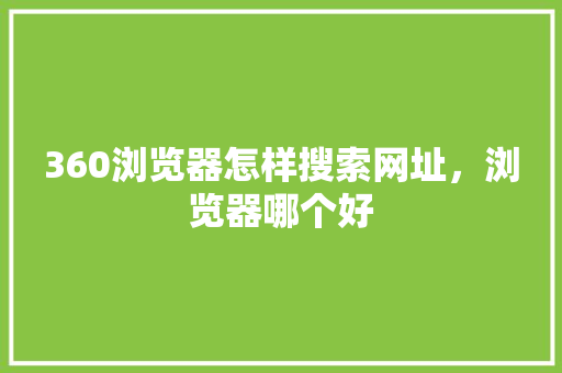 360浏览器怎样搜索网址，浏览器哪个好