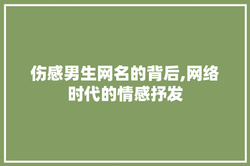 伤感男生网名的背后,网络时代的情感抒发