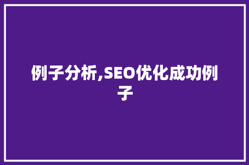 例子分析,SEO优化成功例子