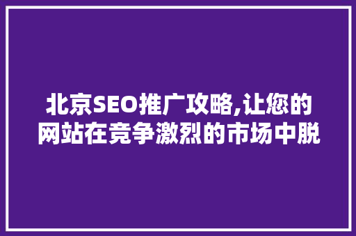 北京SEO推广攻略,让您的网站在竞争激烈的市场中脱颖而出