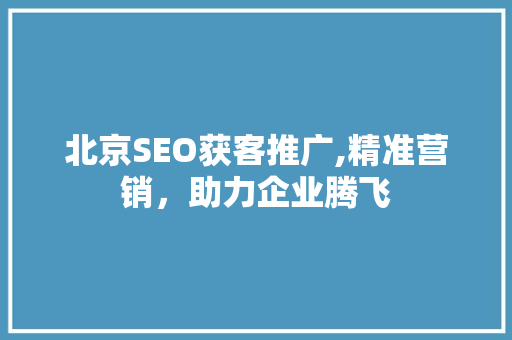 北京SEO获客推广,精准营销，助力企业腾飞
