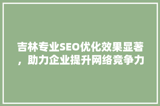 吉林专业SEO优化效果显著，助力企业提升网络竞争力